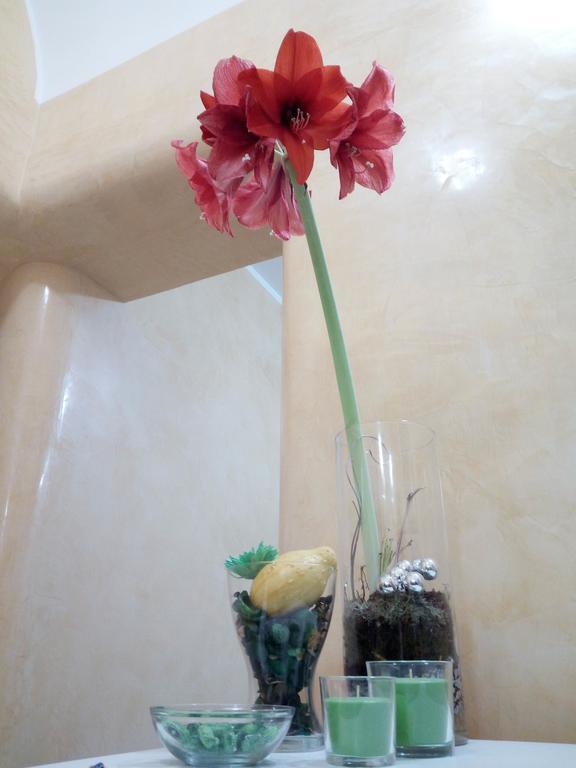 Residence Stendhal Guest House 치비타베키아 외부 사진